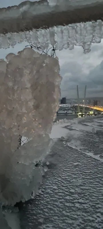 Ледяной шторм прошел во Владивостоке впервые за 30 лет