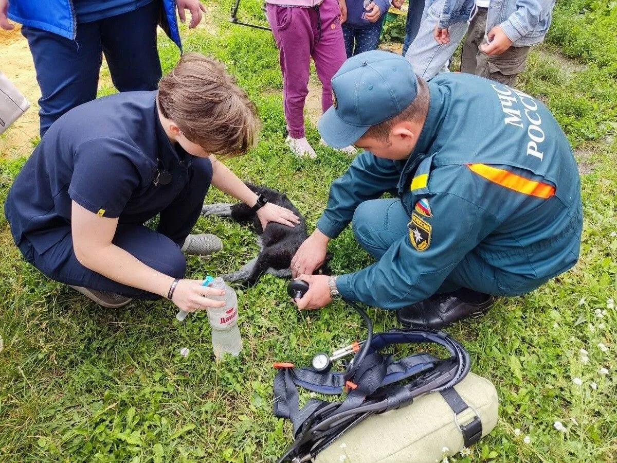 Фото пресс-службы ГУ МЧС по Орловской области