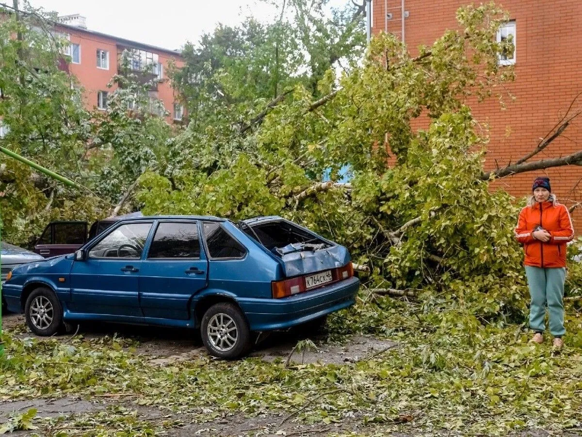 Фото из телеграм-канала губернатора Курской области Романа Старовойта