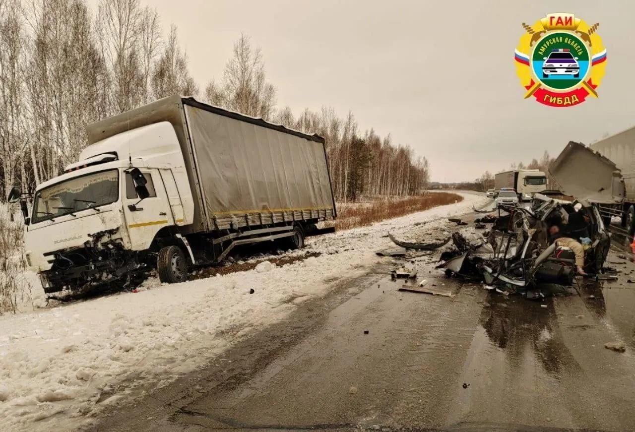 Фото управления ГИБДД по Амурской области