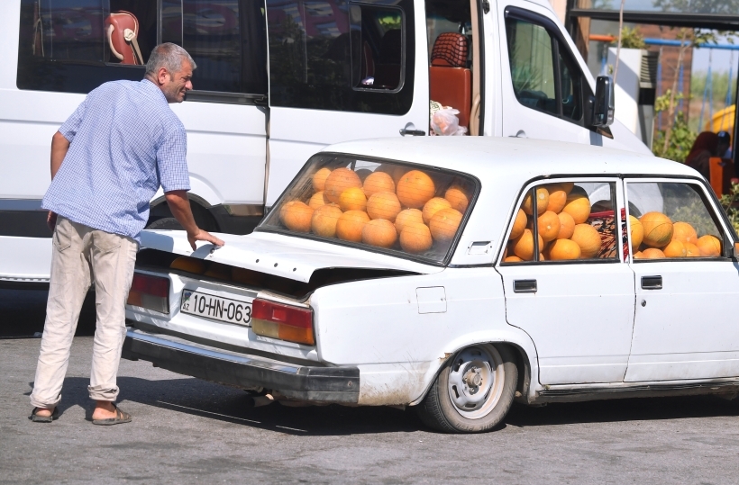 Дыня очень полезна для организма. Фото