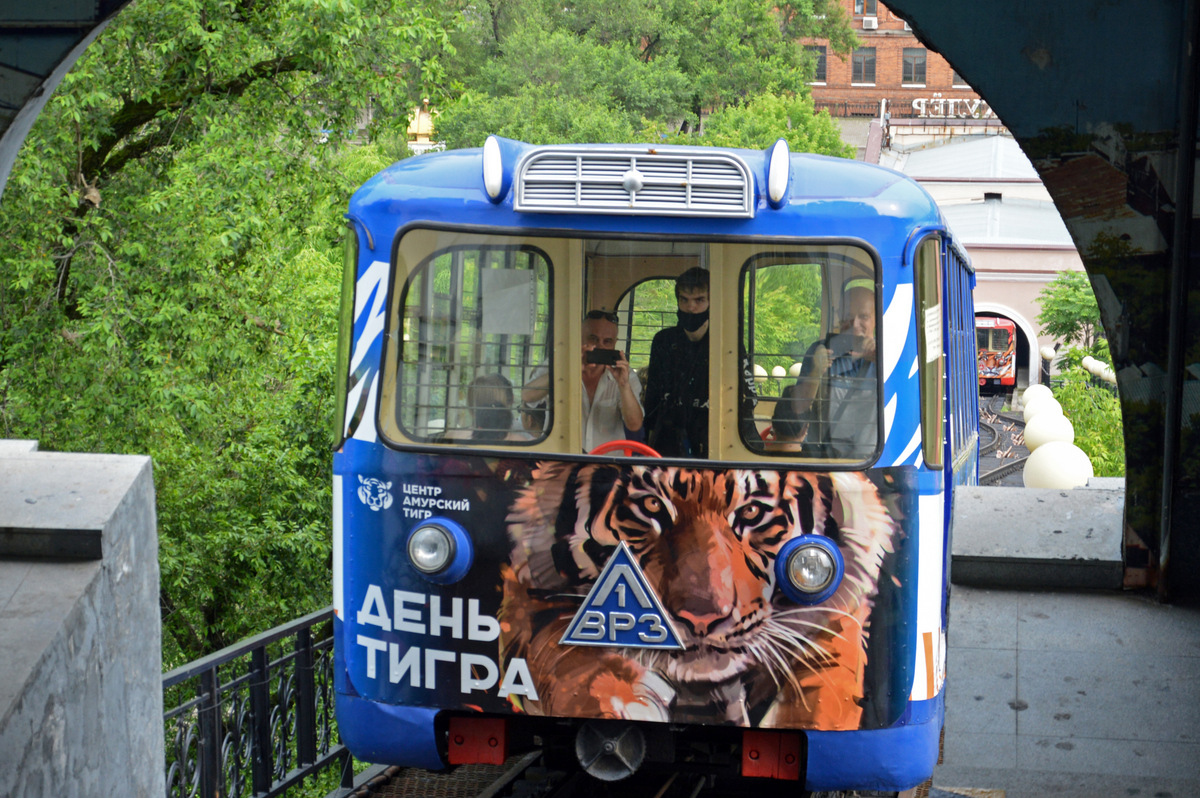 Мосты, Тихий океан и азиатская экзотика: что посмотреть туристам во Владивостоке