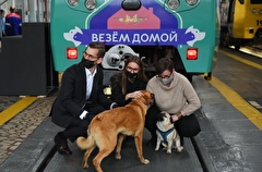 Поезд "Хвосты и лапки" в поддержку бездомных животных запустили в метро