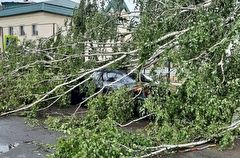 Режим ЧС введен на северо-востоке Татарстана после урагана