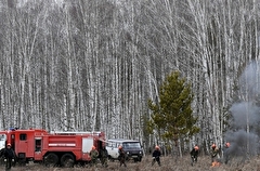 Сложная обстановка с лесными пожарами в Приамурье сохраняется в Зейском округе