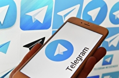 Основателя Telegram задержали в Париже: какие претензии к созданному Дуровым мессенджеру?