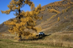 Доля автотуристов в России вырастет до 43% в 2025 году
