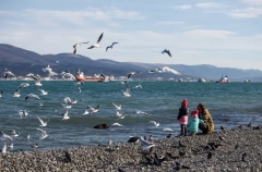 Пробы воды из Черного моря и песка от Новороссийска и до границы с Абхазией соответствуют нормам - Роспотребнадзор
