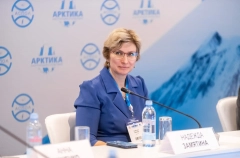 "Московские" решения для Арктики не подходят - Надежда Замятина