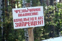 Доступ в леса ограничили в Иркутской области из-за опасности пожаров