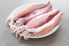Кальмар: чистый белок без углеводов. Польза продукта для здоровья