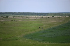 Круглогодичный экокурорт появится в Тульской области
