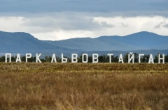 Дело возбуждено после нападения льва на директора парка "Тайган" в Крыму