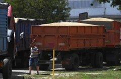 Парковку для большегрузов с зерном организуют в Ростове-на-Дону