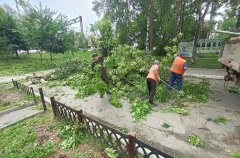 Режим ЧС ввели в Хабаровске после ливней и сильного ветра
