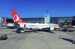 Минтранс РФ не будет ограничивать число рейсов Turkish Airlines из-за ситуации с багажом
