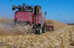 Иркутская область досрочно выполнила план-2025 по экспорту продукции АПК