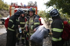 Группировка для тушения лесного пожара в Геленджике увеличена до 250 человек