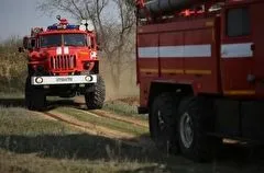 Десять частных домов оказались в огне близ горящего пшеничного поля в Волгоградской области