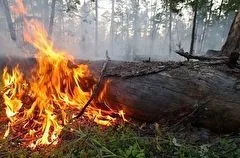 В ХМАО охвачено пожарами более 14 тыс. га леса