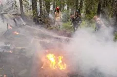 Пожар в заповеднике "Денежкин Камень" в Свердловской области полностью потушен