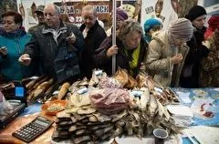 Экспорт продукции АПК Ленобласти в текущем году вырастет на 33% - до $320 млн