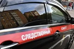 Дело возбуждено в Амурской области за мошенничество по нацпроекту "Жилье и городская среда"