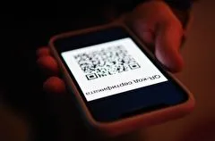 Совет Госдумы единогласно снял с рассмотрения законопроект о QR-кодах