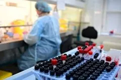 Первые случаи заражения новым подвидом штамма "омикрон" выявлены в Красноярском крае