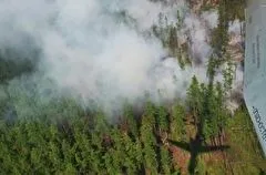 Площадь лесных пожаров в Свердловской области за сутки уменьшилась в шесть раз