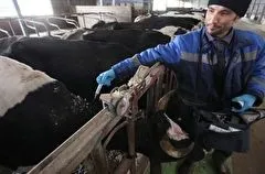 Более 10 млн рублей направлено на вакцинацию животных от опасных болезней в Иркутской области