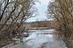 Паводок в Саратовской области пошел на спад