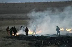 Преждевременные ландшафтные пожары фиксируют в Самарской области