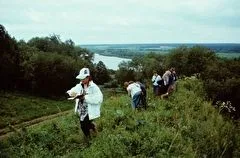 Мониторинг фитосанитарного состояния охватит в Приамурье более 900 тыс. га