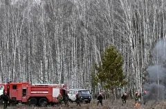 Ситуация с лесными пожарами в Сибири стабилизировалась - Рослесхоз