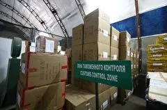 Хабаровские таможенники выявили контрабанду бивней мамонта на 190 млн рублей