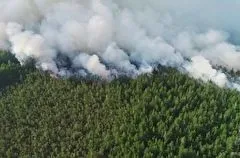 Лесной пожар ликвидируют в Прикамье третий день, площадь возгорания выросла в 44 раза - до 84 га