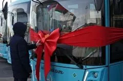 Автотранспортные предприятия Брянской области получили 17 новых автобусов