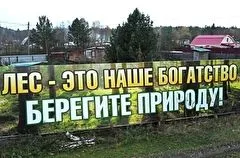 Площадь лесов Ставрополья в 2023 году увеличилась на 54 га