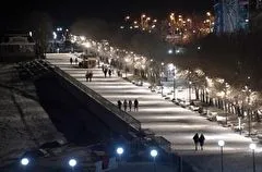 Волны цунами во Владивостоке не зарегистрированы, на Сахалине высота волны составила всего 13 см