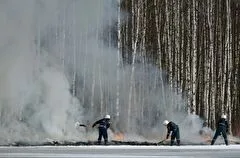 Возле свердловского города Березовский обнаружены 12 подземных пожаров