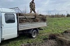 Более 60 тыс. деревьев высадили в Ингушетии в память о погибших в годы войны