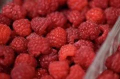 Малина: польза и вред продукта, пищевая ценность, как выбрать и как хранить