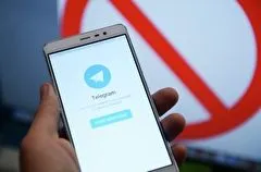 Зампред комитета Госдумы: в России есть претензии к Telegram, но блокировать платформу не планировали