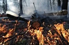 Крупные пожары тушат на северо-западе Забайкалья