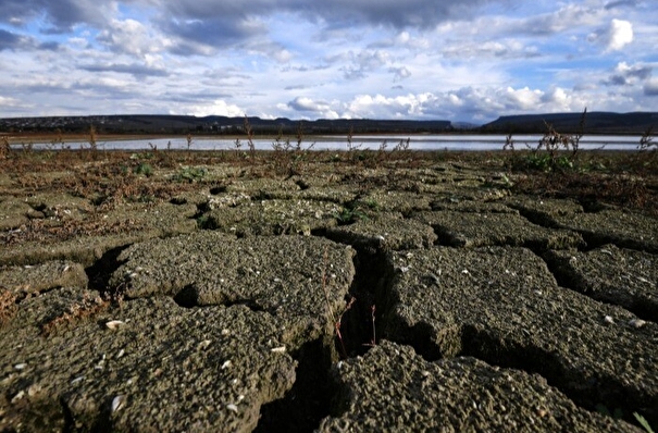 Новосибирская область вводит режим ЧС из-за засухи