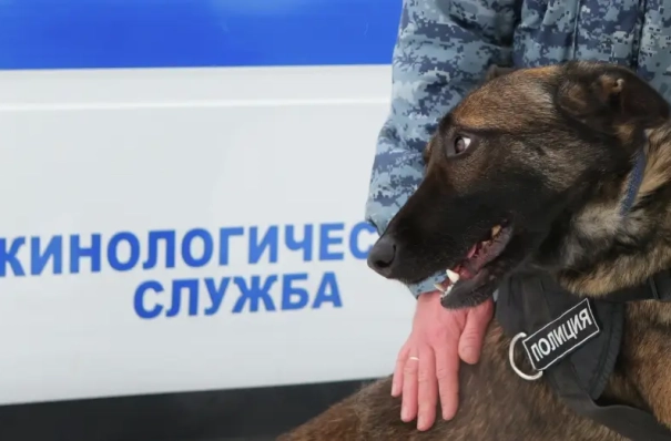Сообщения о минировании поступили в ряд учреждений Севастополя