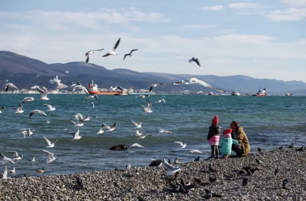 Пробы воды из Черного моря и песка от Новороссийска и до границы с Абхазией соответствуют нормам - Роспотребнадзор