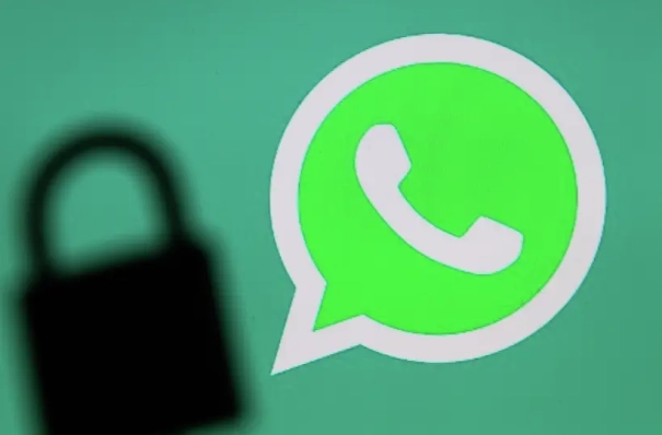 РКН призывает доверять только официальным данным по поводу блокировки WhatsApp