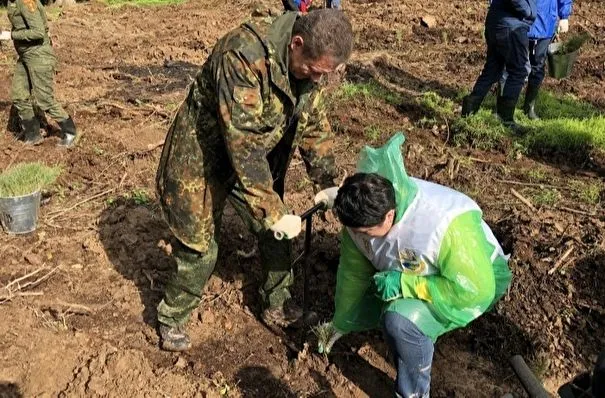 Свыше 220 тысяч деревьев высадили в Подмосковье в рамках экологической акции